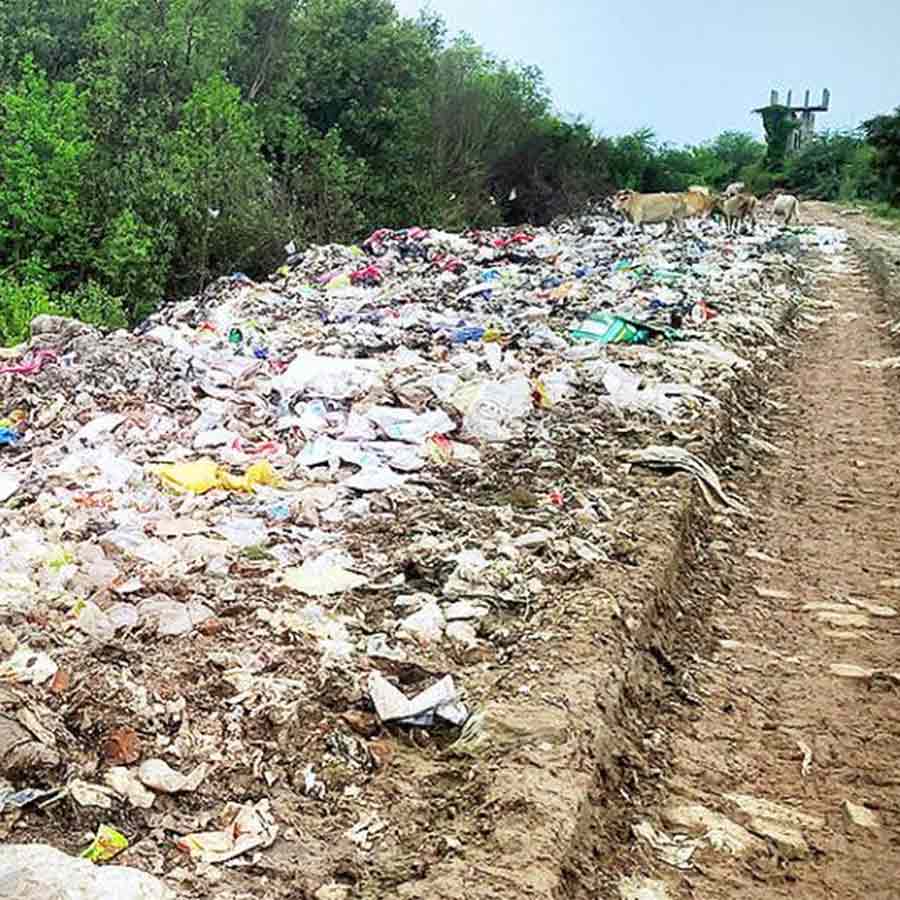 Environmentalist worried as banned plastic are entering Sundarbans through tourists