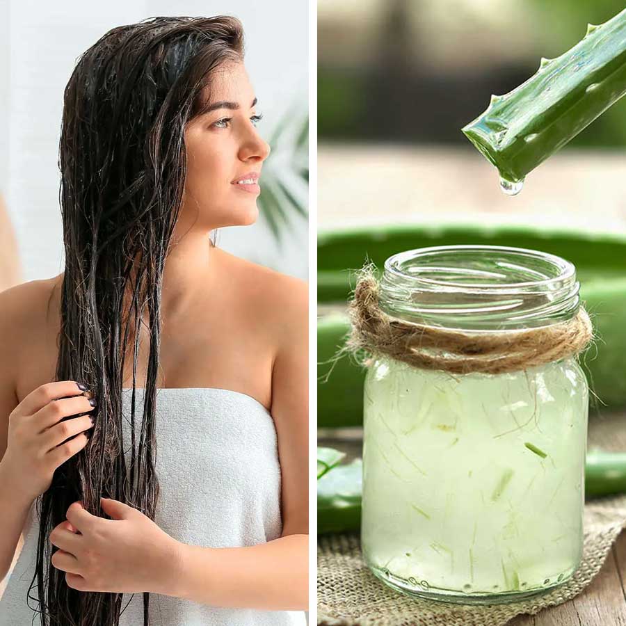 Scalp Health Care with aloe vera plant at home, it can make your hair shiny