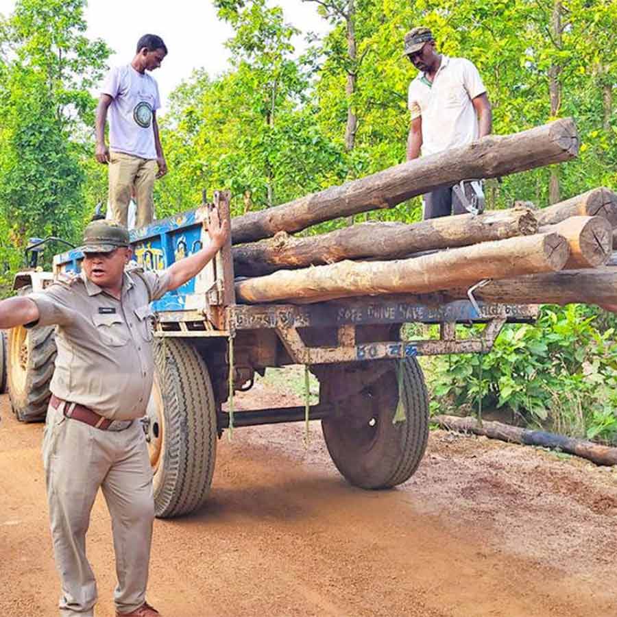 Forest Department removed street lamps from roads of elephant movement
