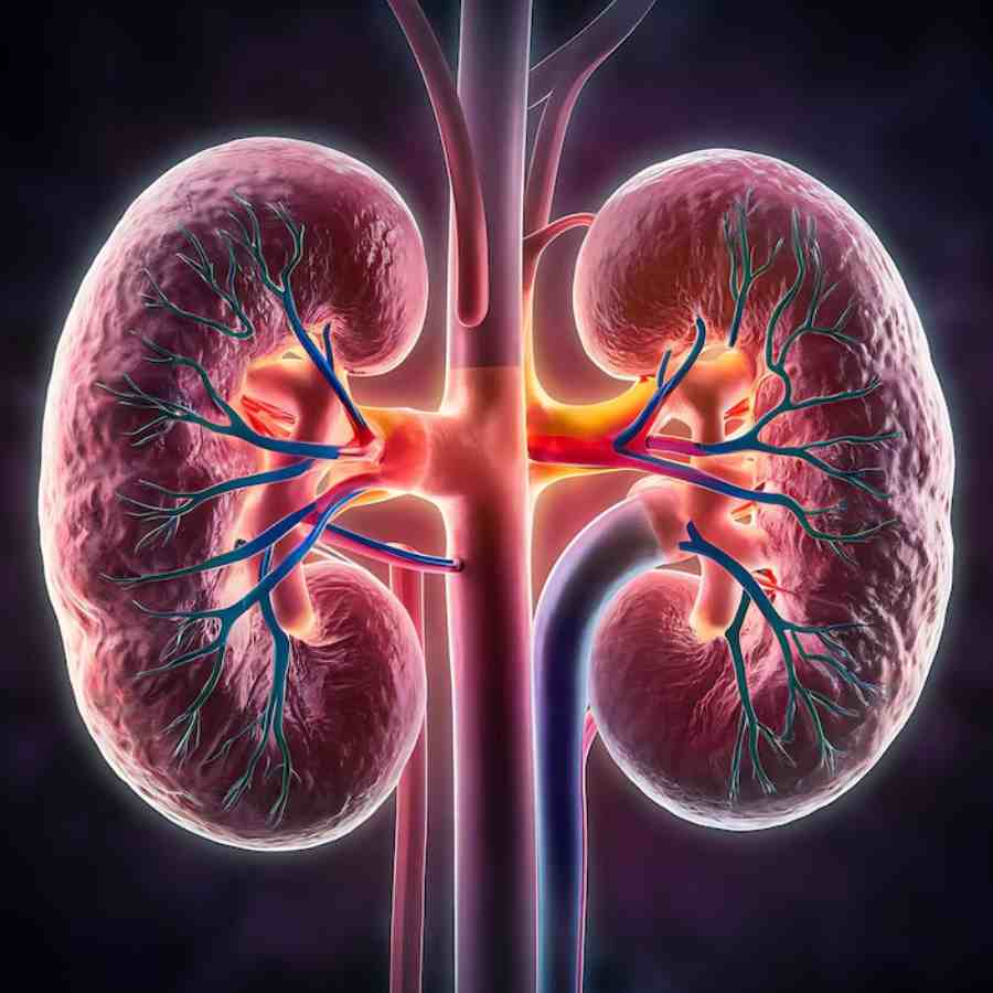 Women should not ignore these symptoms of Kidney disease