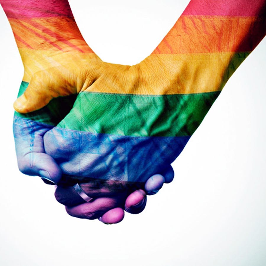 Madras High Court has ruled that individuals within the LGBTQ+ community can still form families through alternative means, even though same-sex marriage is not legal