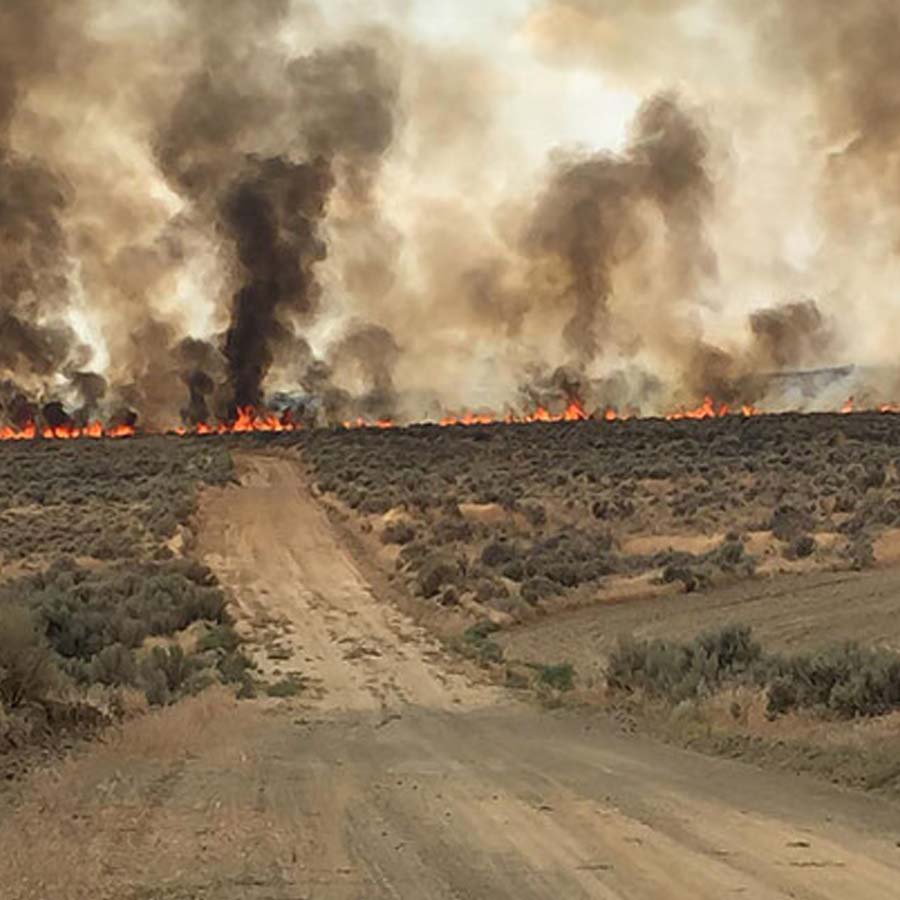 Massive nuclear explosion under sea is urgently needed to save Earth, said US researcher