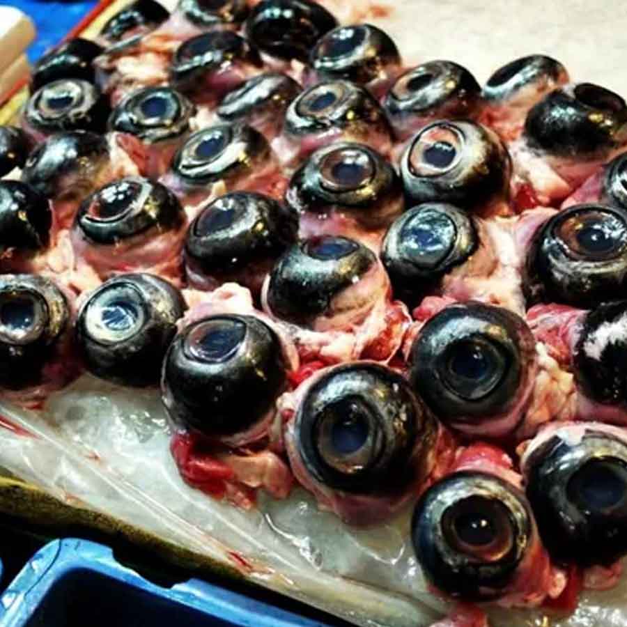 tuna eyeball