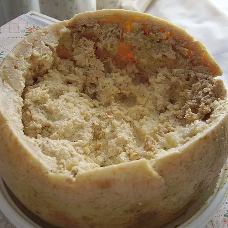 casu marzu