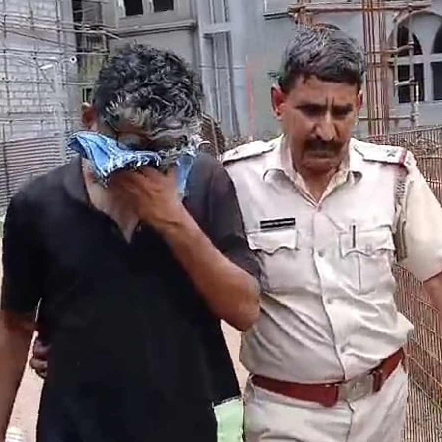 Professor Arrest
