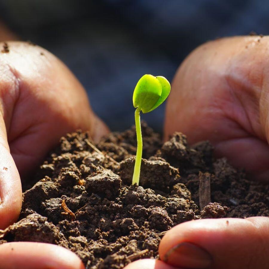West Bengal Schools Go Green with Samagra Shiksha Mission’s Eco Club Program dgtl
