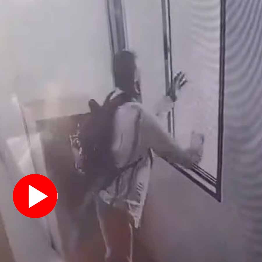 Video shows man throws cat from 9th floor of a building in Mumbai