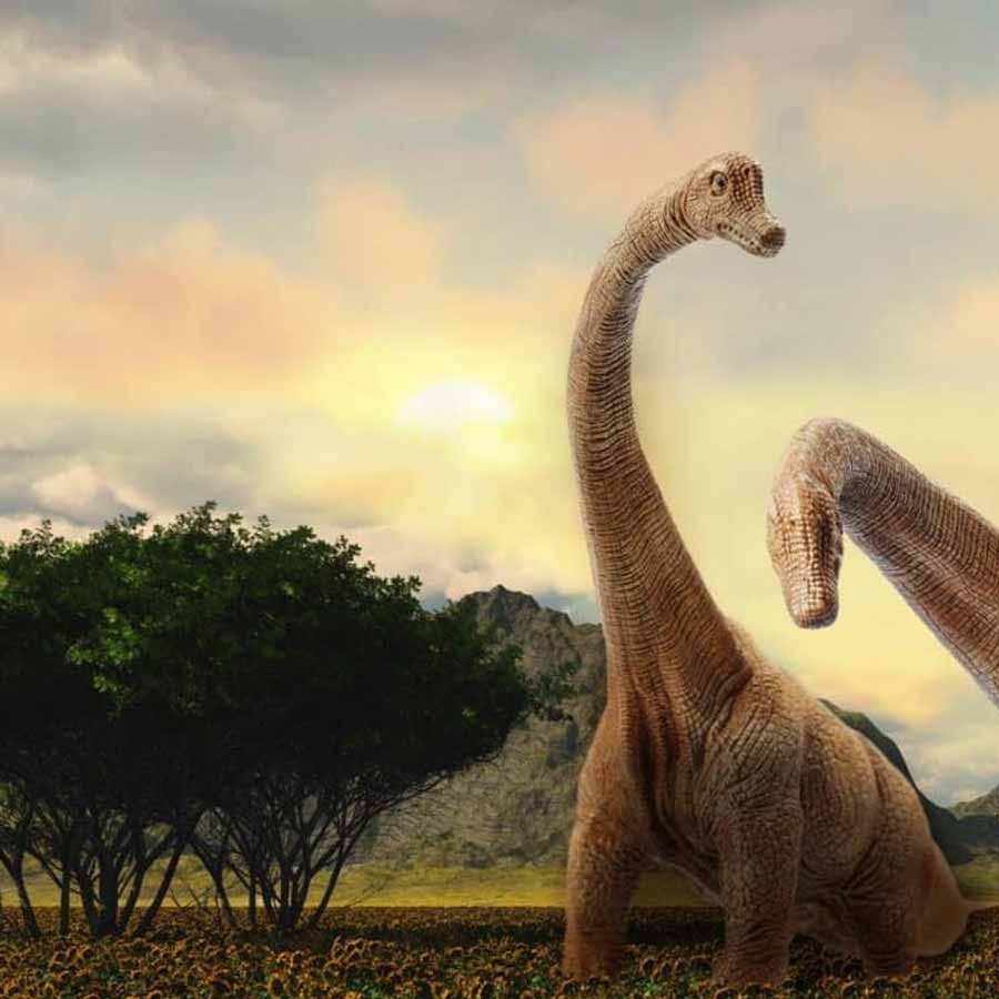 First fossil found that proves long-necked dinosaurs were actually vegetarians dgtl