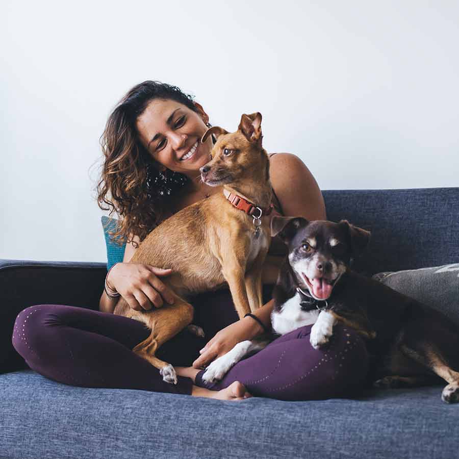 Should you sleep with your pet at night on bed