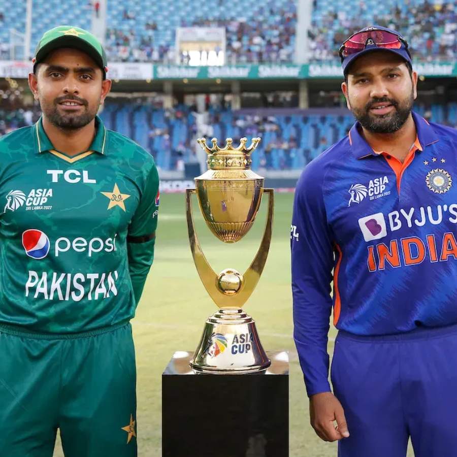 picture of cricket