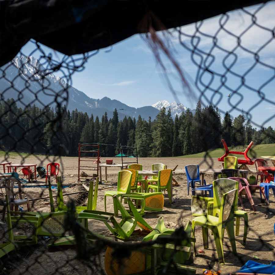 স্থানীয় সূত্রে খবর, জঙ্গিদের পরনে ছিল পুলিশের পোশাক। কেউ কেউ আবার সেনার পোশাক পরেও এসেছিল। সকলের হাতে ছিল একে-৪৭। জম্মু এবং কাশ্মীর পুলিশের দায়ের করা একটি এফআইআরে বলা হয়েছে, হামলাটি ছিল পূর্বপরিকল্পিত। বৈসরন উপত্যকার আশপাশের পাইনবন থেকে সামরিক পোশাকে থাকা বন্দুকধারীরা বেরিয়ে এসে পর্যটকদের উপর নির্বিচারে গুলি চালাতে শুরু করে। 