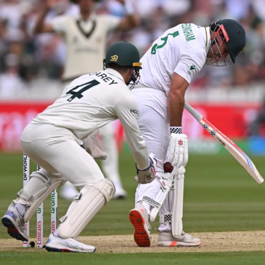 picture of cricket