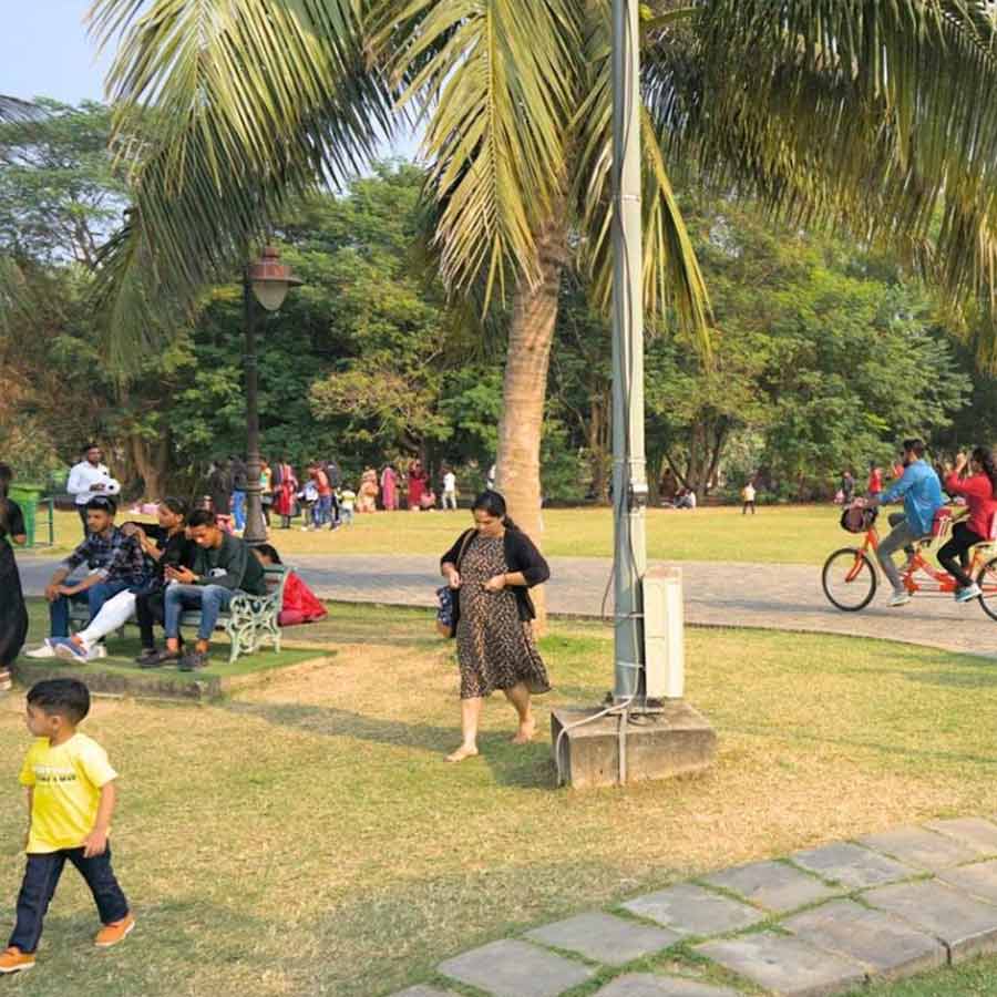 For decades, housing has been built, encroaching on numerous playgrounds and ponds in the suburbs