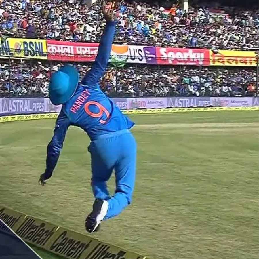 picture of cricket