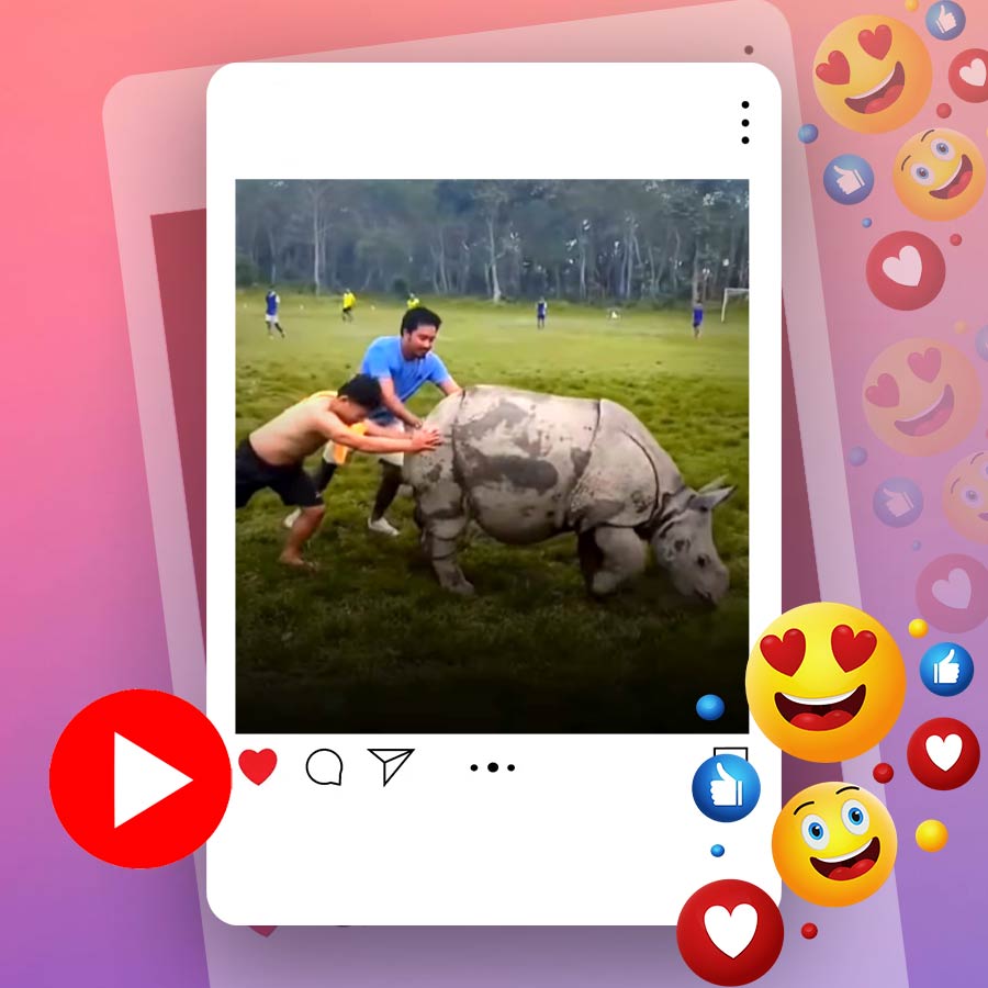Video of baby rhinoceros entering football ground in Nepal goes viral dgtl