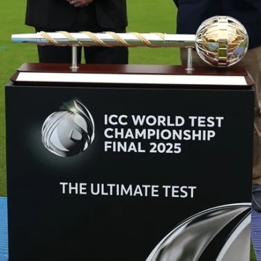 picture of cricket
