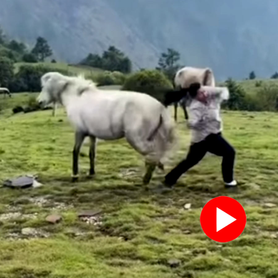 Video of horse knocked down woman while she is dancing in Nepal’s Kuri village dgtl