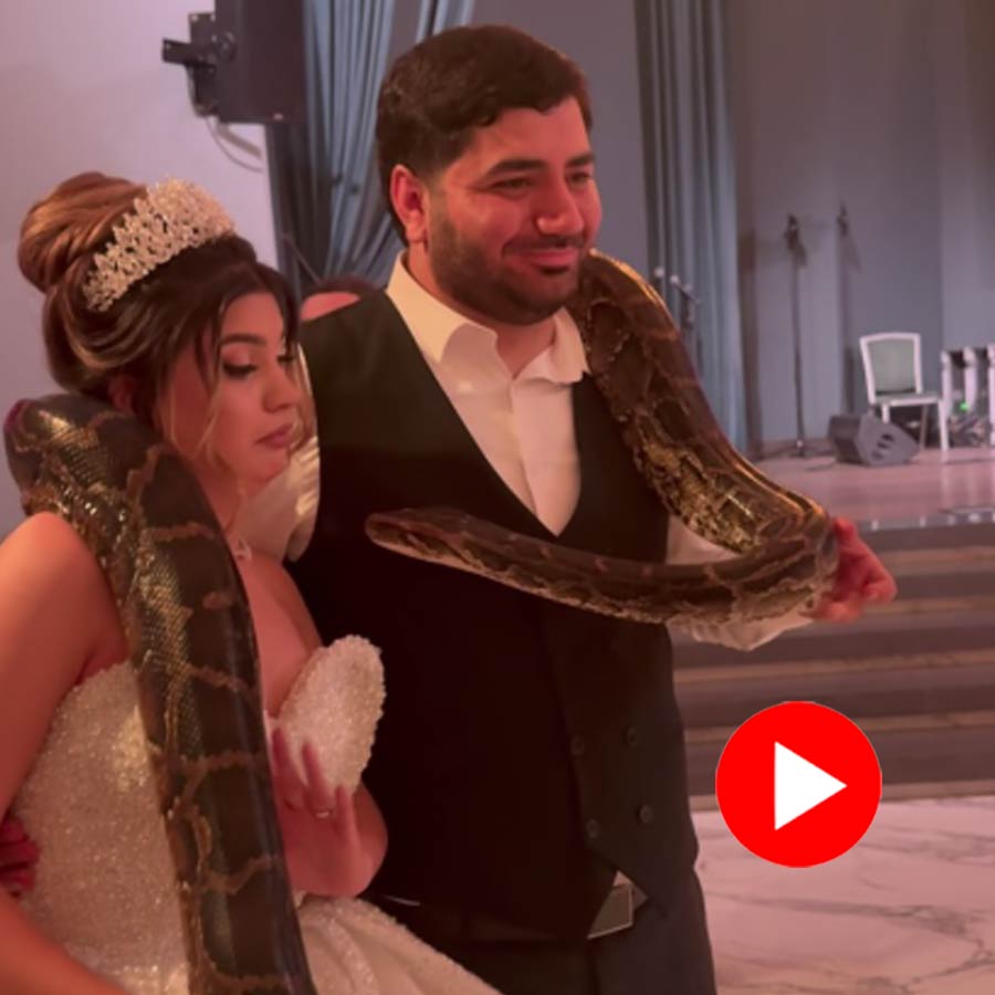 newlywed couple poses with python