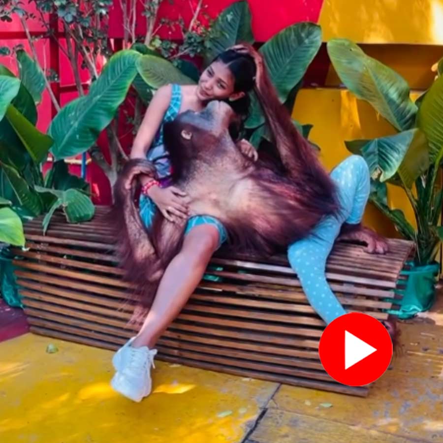 Video of a woman and chimpanzee goes viral