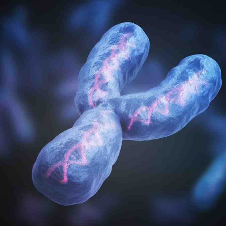 বিপদে 'ওয়াই'।