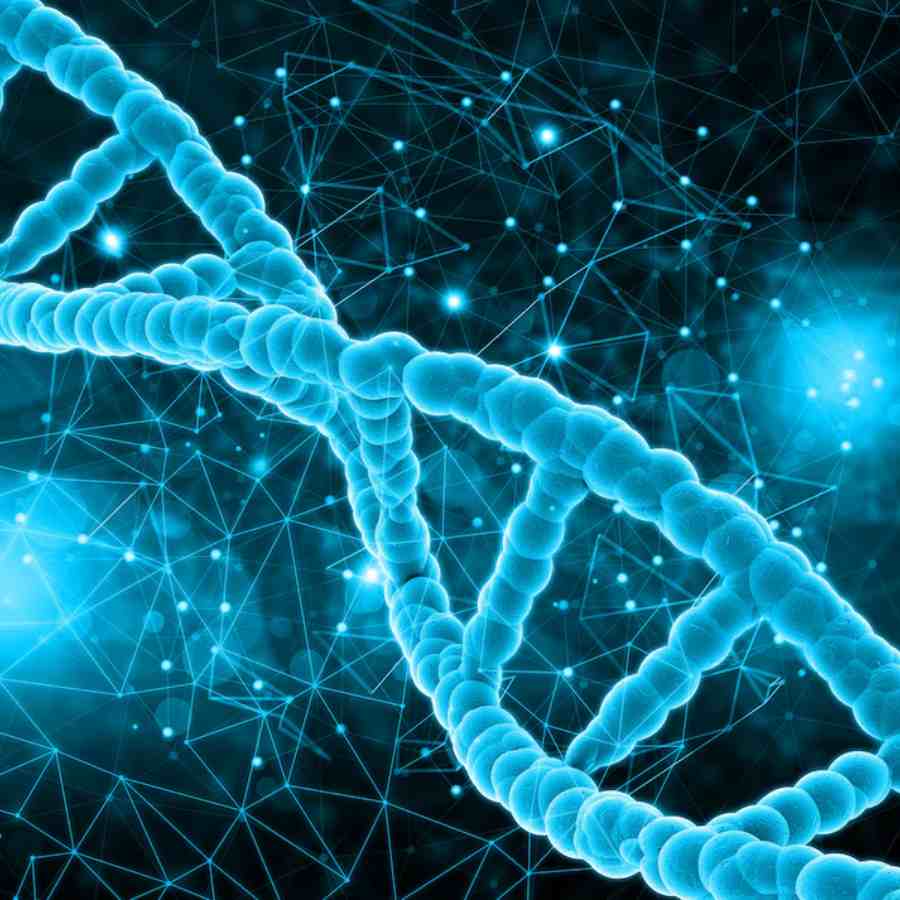 বিবর্তনের ধারায় বার বার বদল ঘটেছে, তবু নুয়ে পড়েনি। 