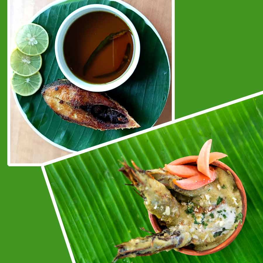 ঝড়ে জল জঙ্গলের খানাপিনা।