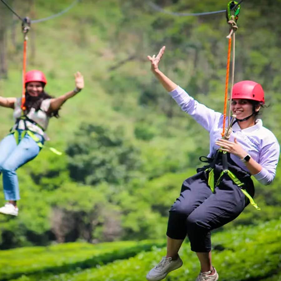 মুন্নারে চা-বাগানের উপর দিয়ে হয় জিপ লাইন।