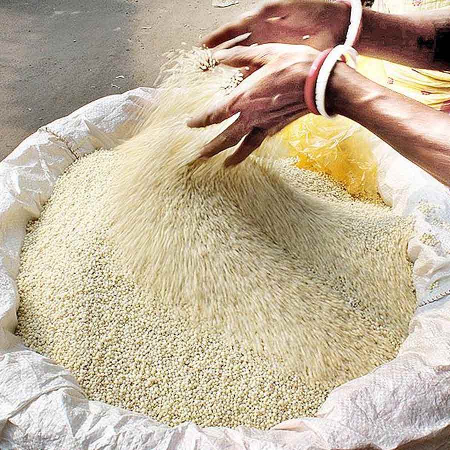 Various types of seeds were once a delicious food
