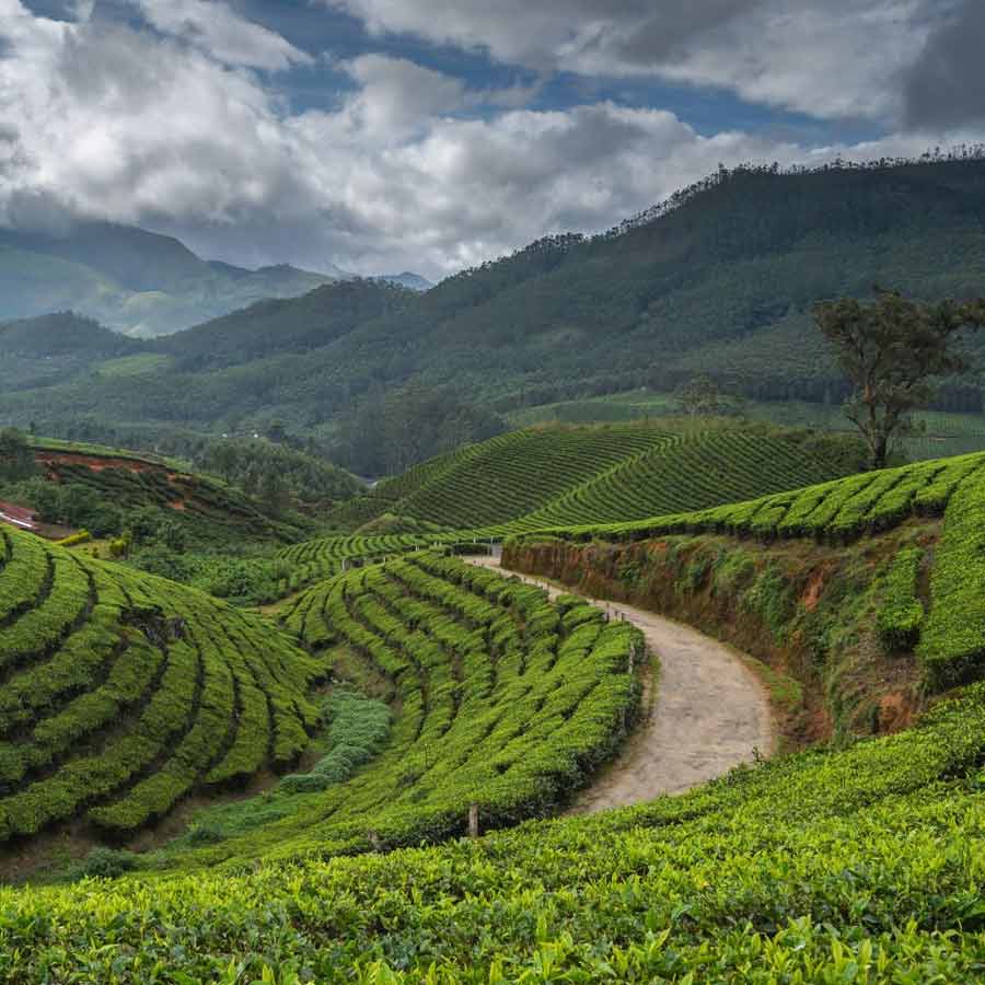 3 Underrated south Indian monsoon hill Destinations dgtl