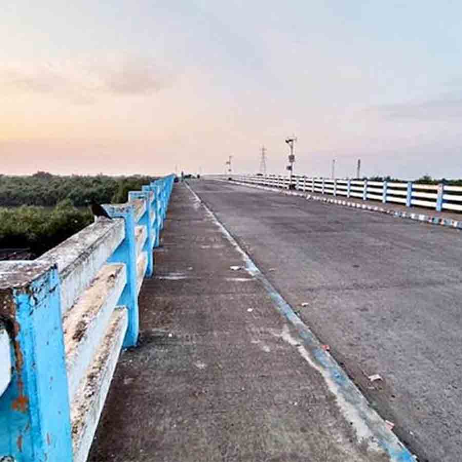 Funds allotted to lighten up Saptamukhi setu