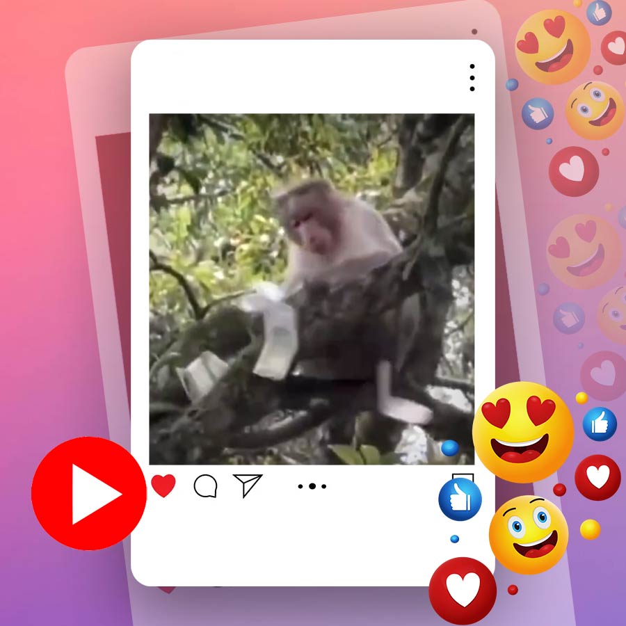 Video of monkey snatching bundle of 500 rupee notes from tourist in Kodaikanal Guna Cave, Tamil Nadu dgtl