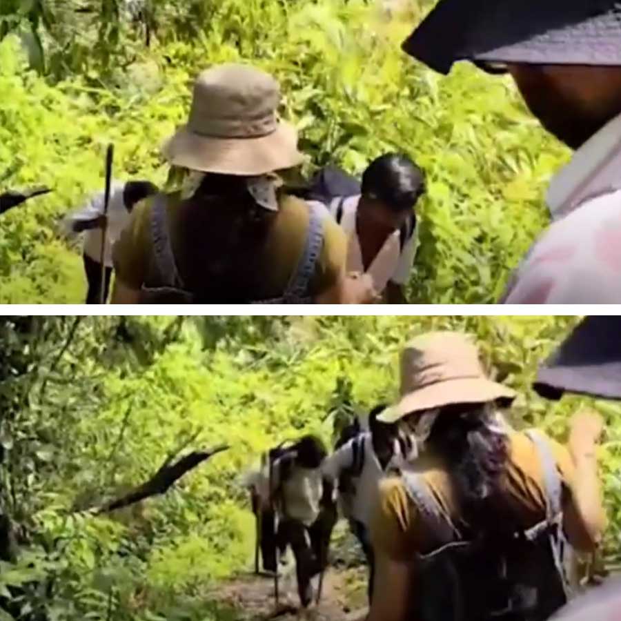 সোনমকাণ্ডে পর্যটকের ক্যামেরাবন্দি রাজার ‘খুনিরা’। ট্রেক করে উঠছেন তাঁরা। ছবি: সংগৃহীত।