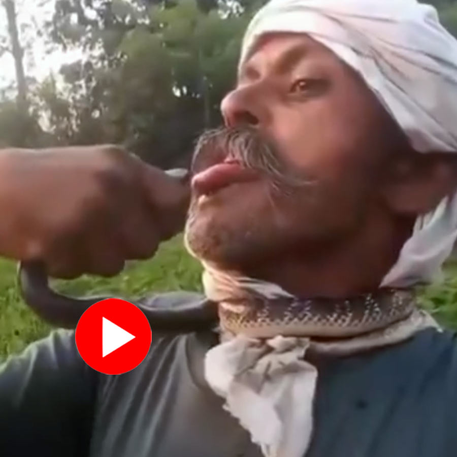 Video shows farmer kissing snake in Uttar Pradesh, Hospitalised after get bitten