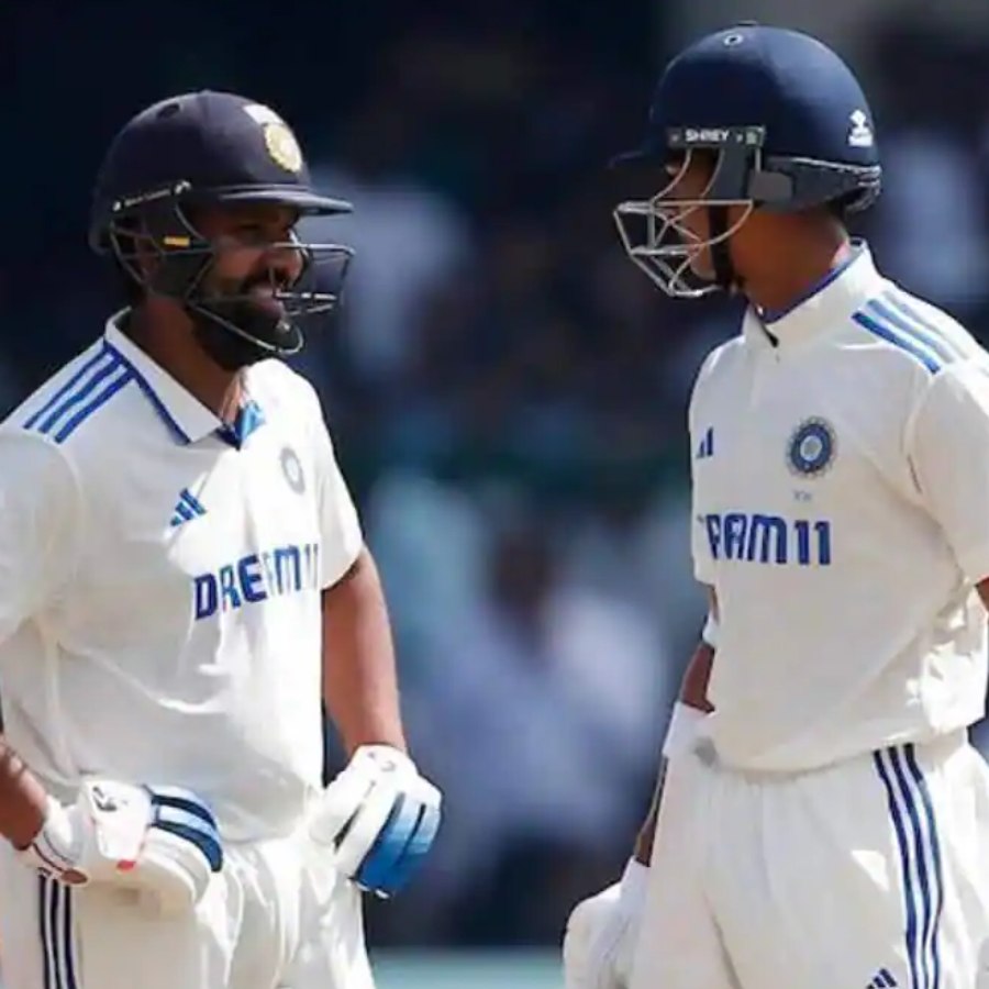 picture of cricket