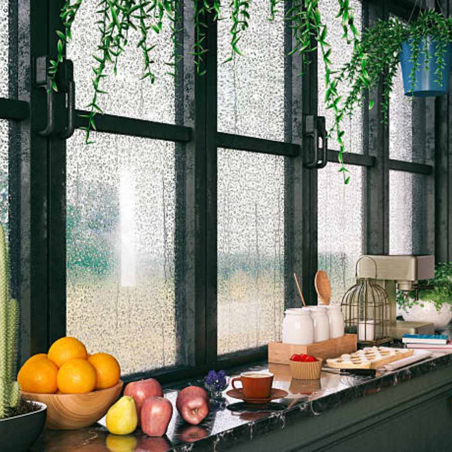 উপায় জানলে বর্ষাতেও হেঁশেল এবং জিনিসপত্র টাটকা রাখা যায়।