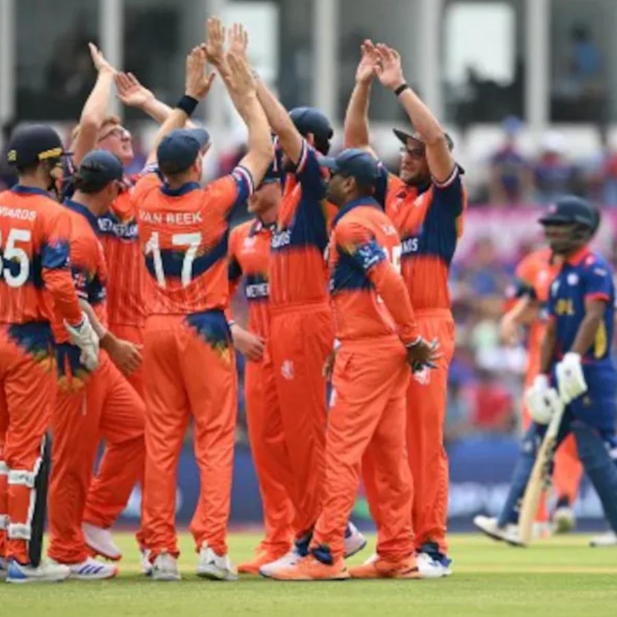 picture of cricket