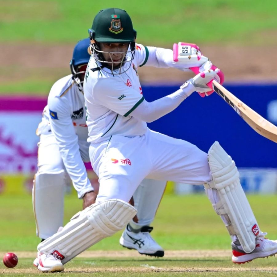 picture of cricket