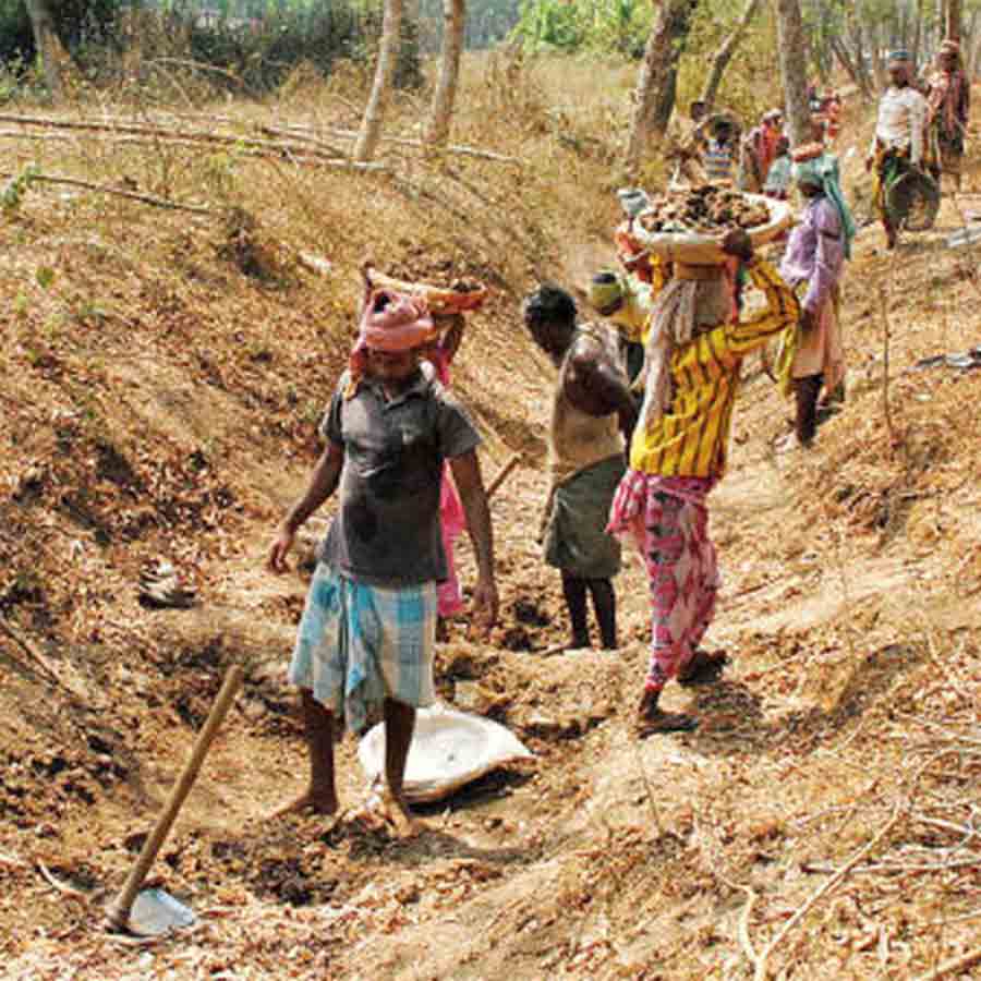 Workers of birbhum district happy after Calcutta High court's verdict on 100 days work