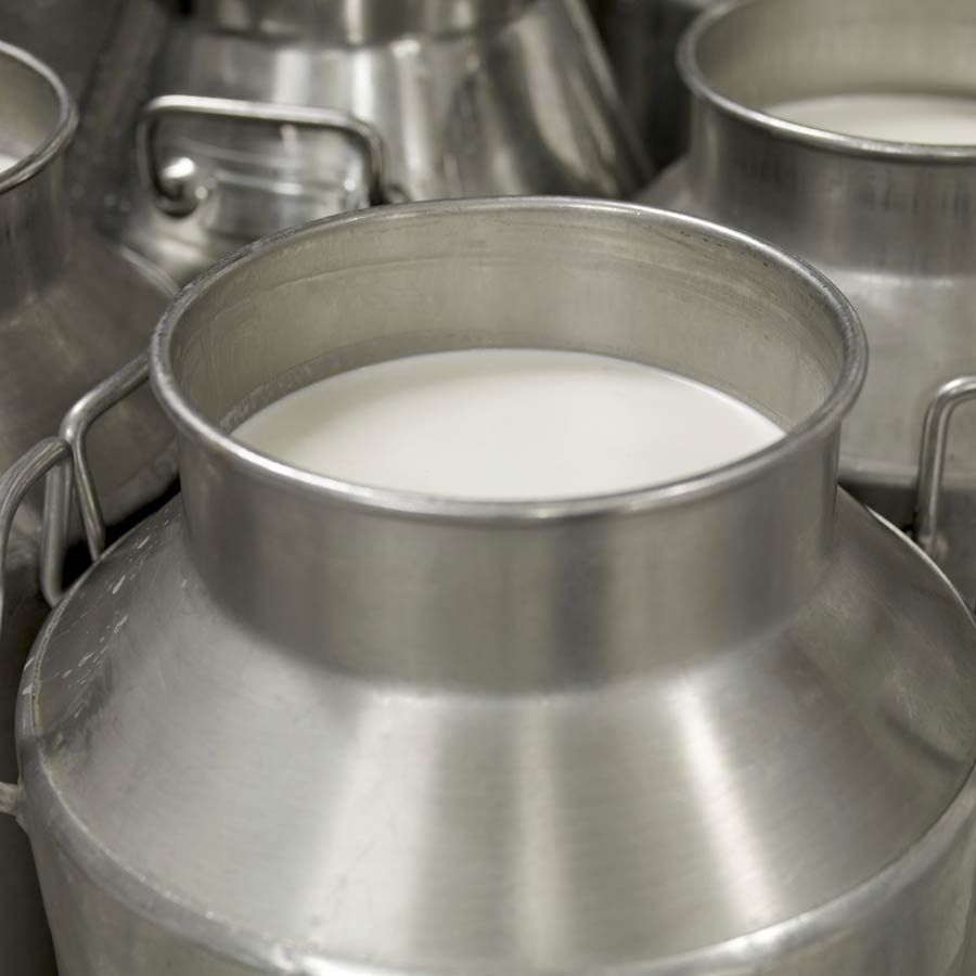 Ex banker turned into milkman and delivered milk with Audi and Harley Davidson in Faridabad