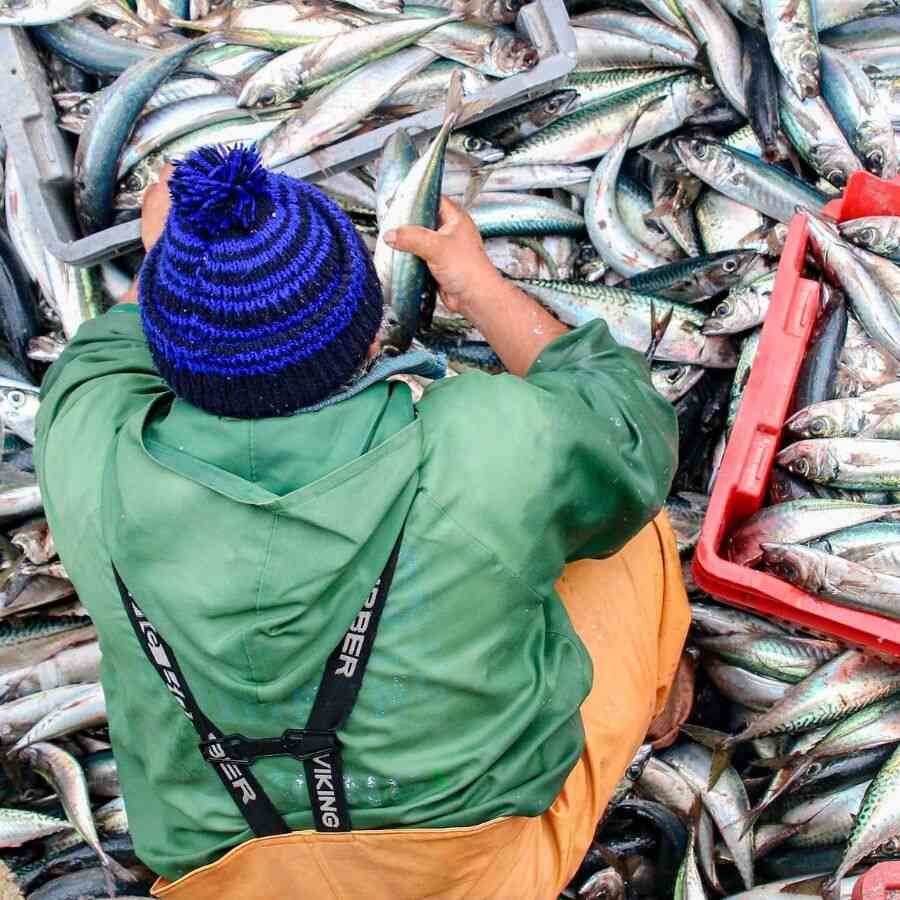 There have been allegations in Parliament that fishermen are being deprived