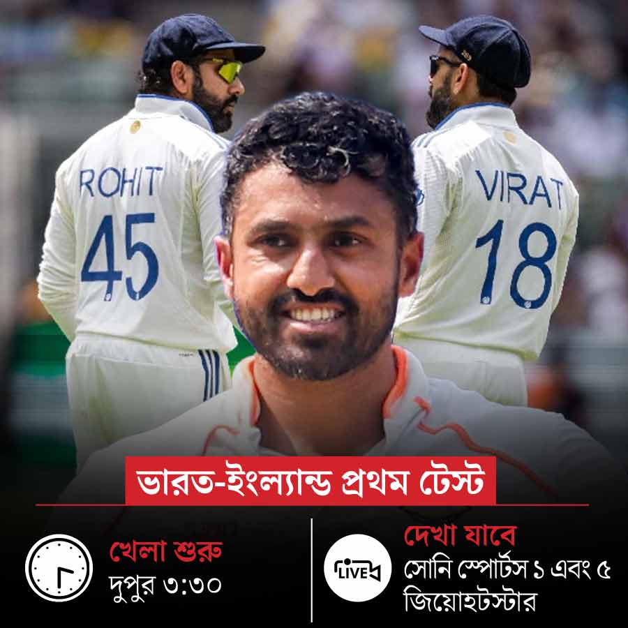 picture of cricket