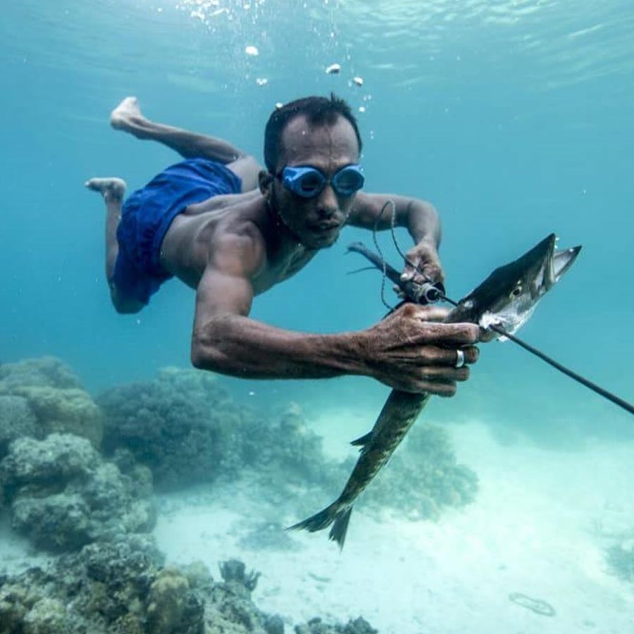 All need to know about Bajau tribe from Indonesia