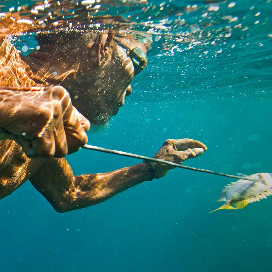 All need to know about Bajau tribe from Indonesia