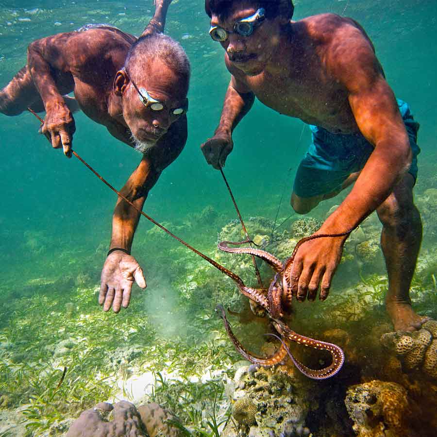 All need to know about Bajau tribe from Indonesia