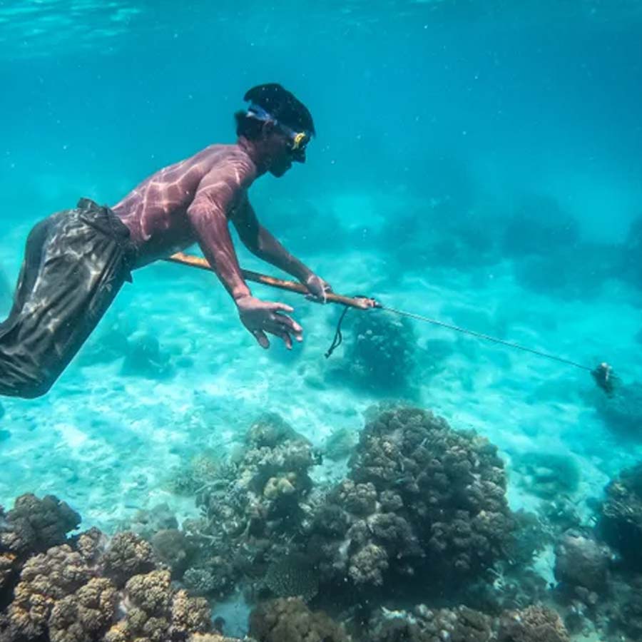 All need to know about Bajau tribe from Indonesia