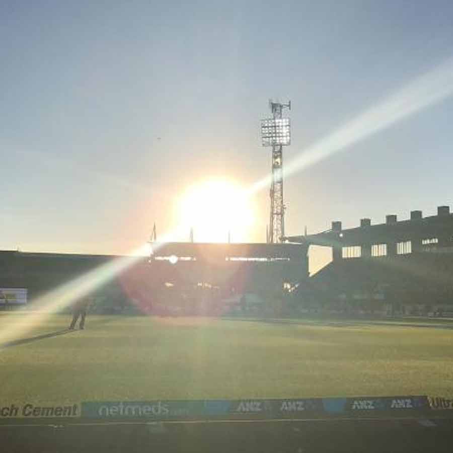 cricket