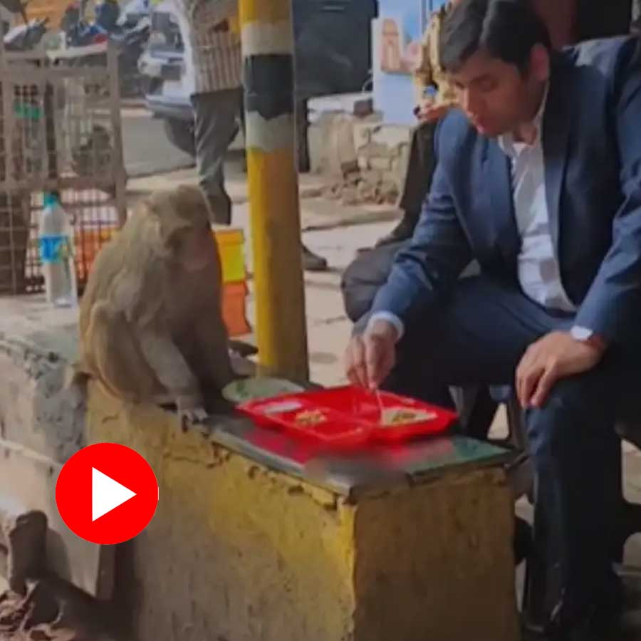 Video shows man and monkey shares food from the same plate