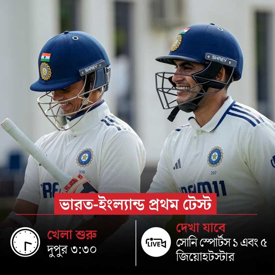 picture of cricket