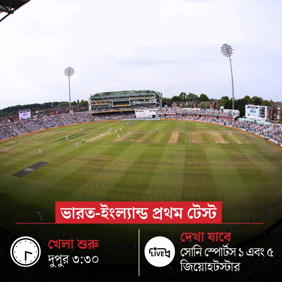 picture of cricket