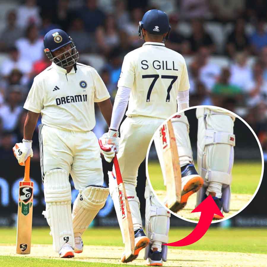cricket